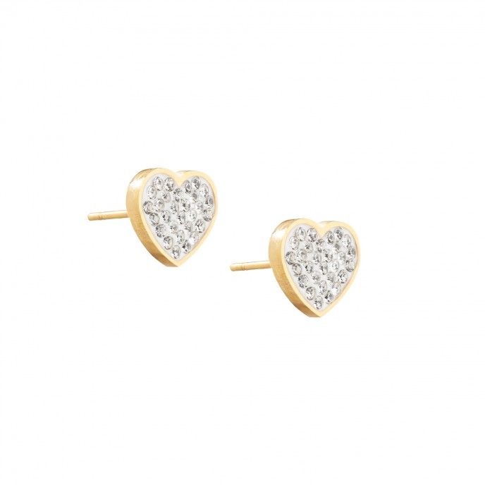 HEART SHAPED STEEL EARRINGS