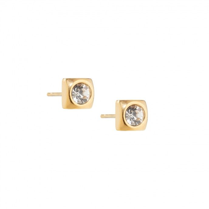 STEEL EARRINGS WITH ZIRCON