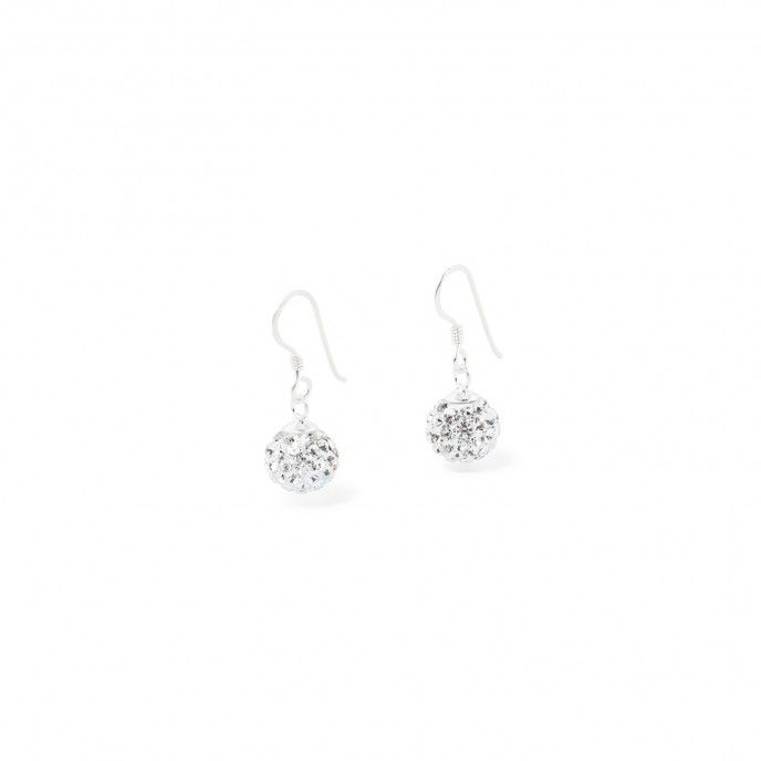 SHINY SILVER EARRINGS